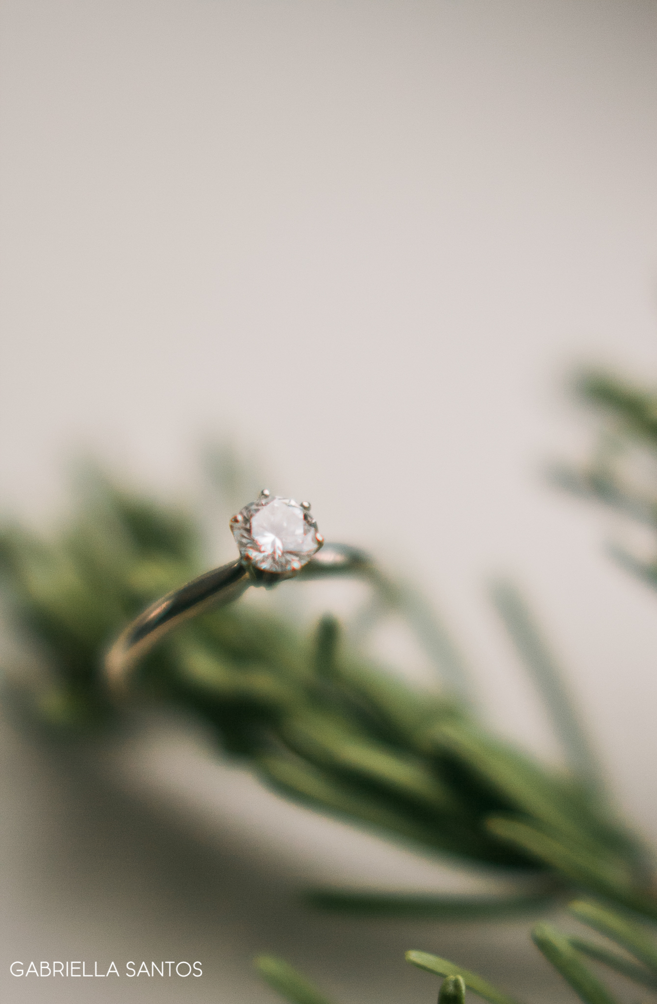 macro23-1-of-1