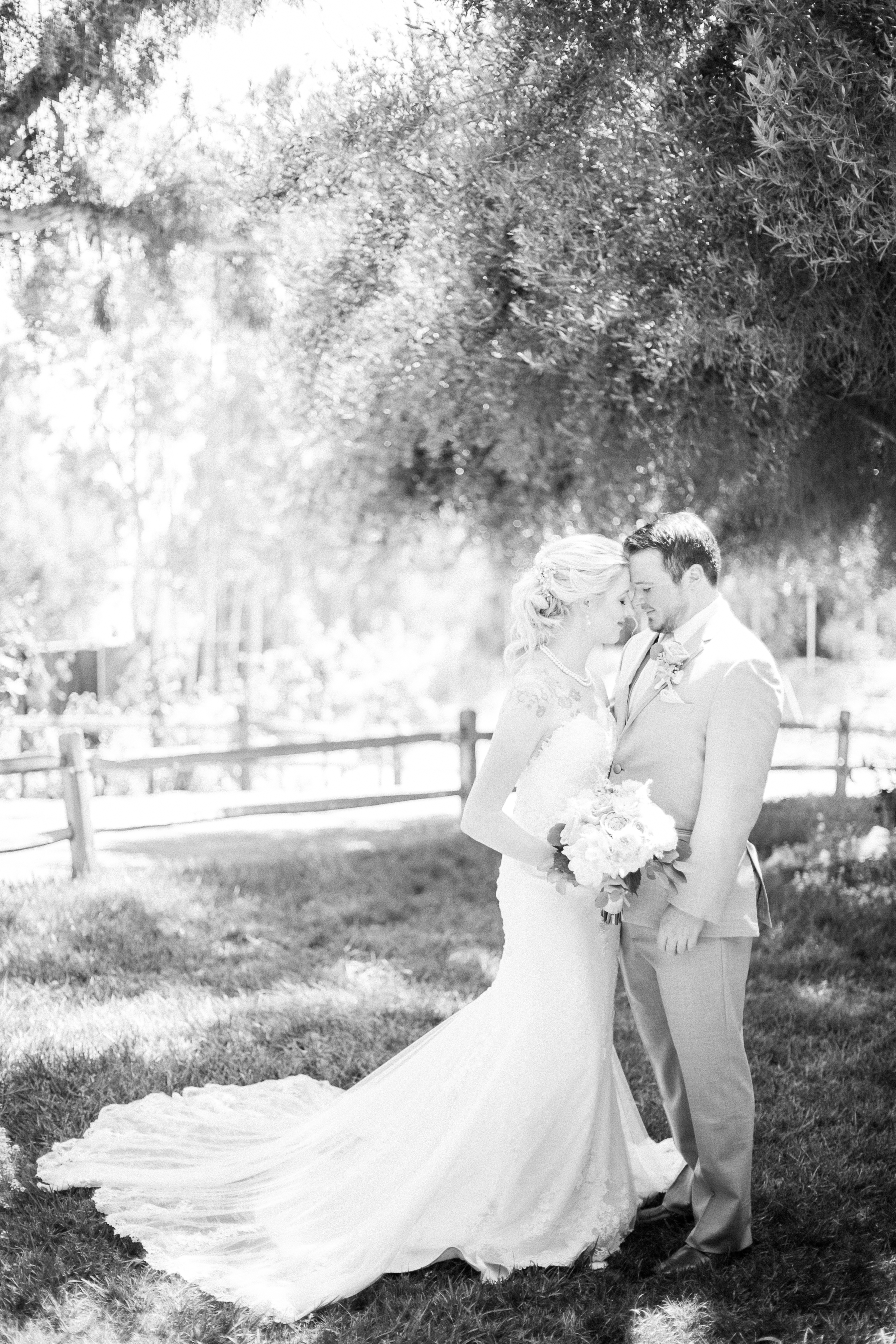 Jenna-Matthew-LakeOakMeadows-Wedding-Bride-Groom-PRINT-24