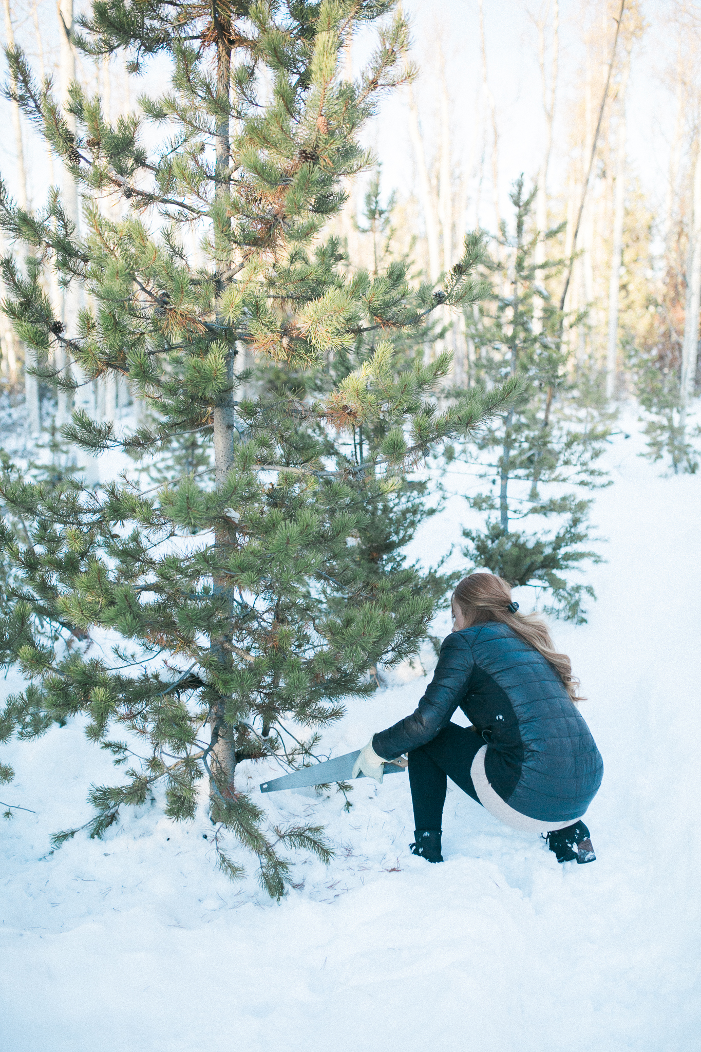 Unitah-Christmas-Tree-Cutting-GabriellaSantosPhotography-WEB-11